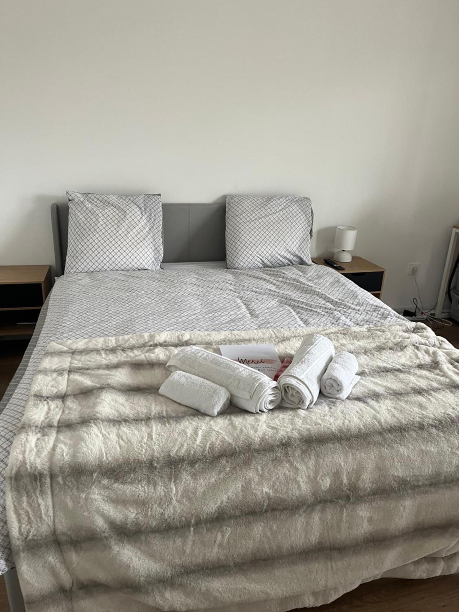 Appartement Luxueux Au Coeur De Lille Exterior foto